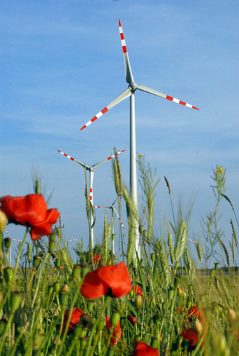 © IG Windkraft - www.igwindkraft.at © IG Windkraft - www.igwindkraft.at
